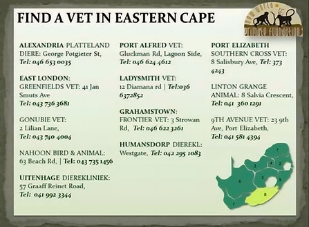 Eastern Cape.jpg
