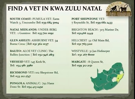 Kwazulu Natal.jpg