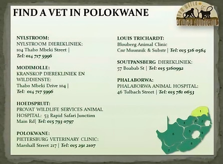 Polokwane.jpg