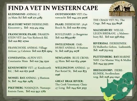 Western Cape.jpg
