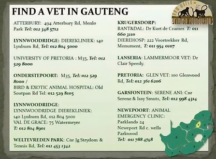 Gauteng 1.jpg
