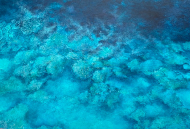 Original painting by Stefania Posa, "Fluttuando tra i Coralli", available for sale