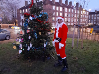 'O Christmas Tree! 'O Christmas Tree!
