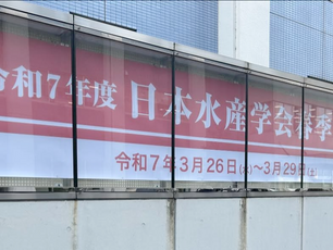 日本水産学会春季大会に参加しました