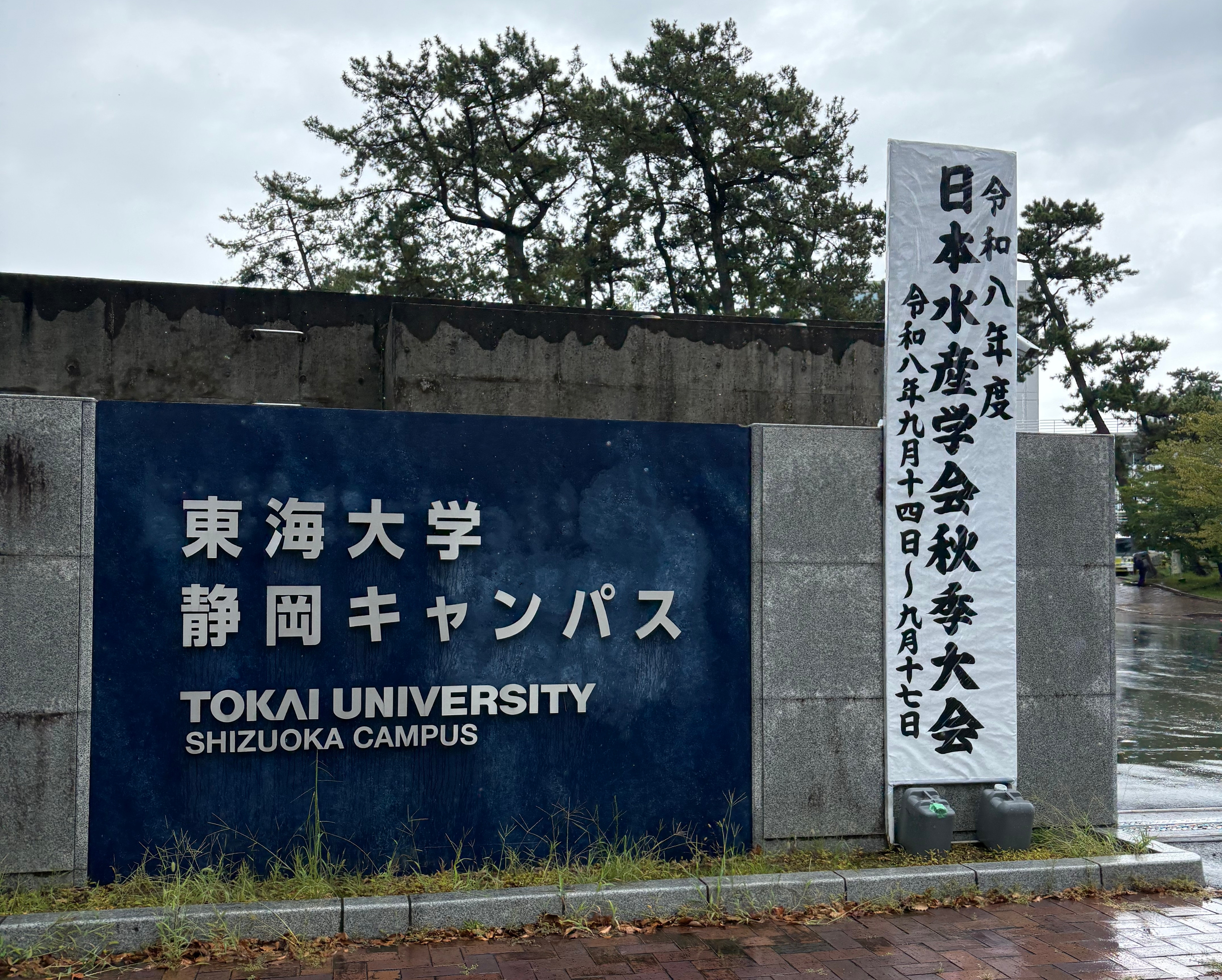 共同研究者がいるのと、隣の旧国際水産資源研究所にはちょくちょく訪れていたので、久しぶりという感覚でした