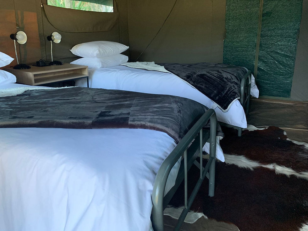 Glamping Tent with Twin Beds and Rustic Charm