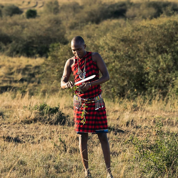 Guide Solomon on a bushwalk