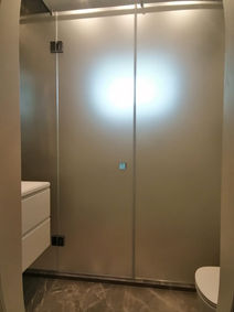 Стеклянная душевая перегородка с дверь