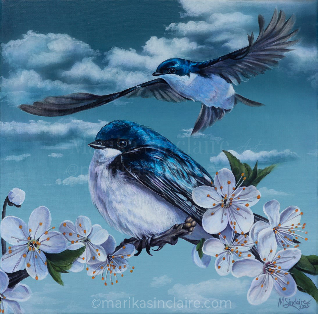 Original painting - "Tree Swallows"