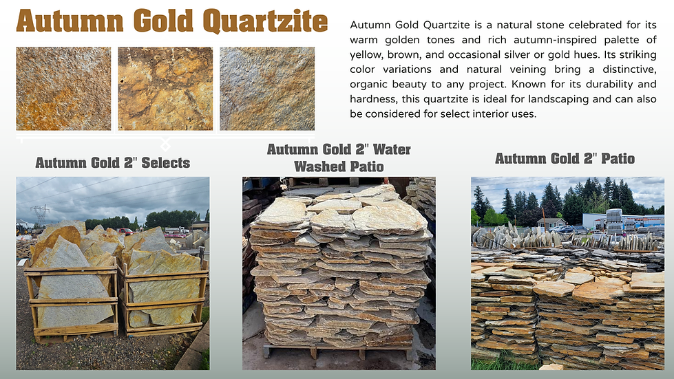 Autumn Gold Quartzite