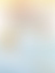 2024年8月 菩提月報 第462期