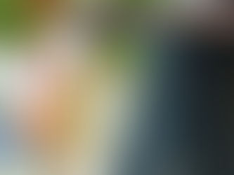 2014年8月 第341期