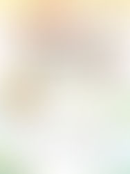 2025年11月 菩提月報 第477期