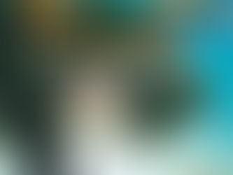 2015年1月 第346期