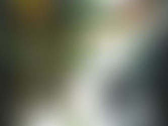 2015年3月 第348期