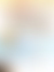 2025年5月 菩提月報 第471期