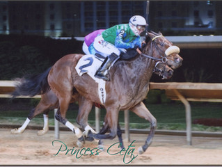 Horse of the Month: Princess Ceta