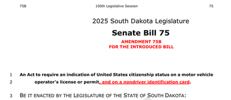 District 27 State Senator Foster Votes Against US Citizenship on Voter IDs