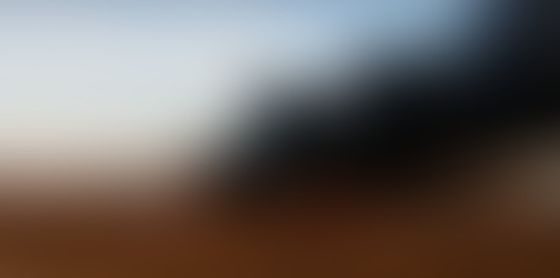 The End of the Era of a Family Farm