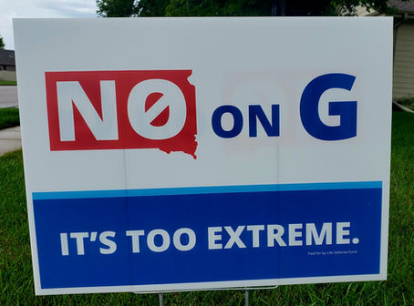 Voting NO on Initiated Amendment G