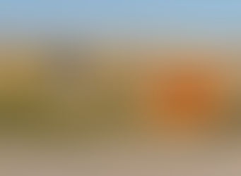 A Busy Weekend on the Campaign Trail