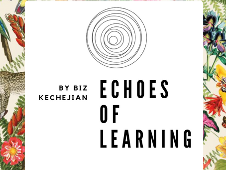 Echoes of Learning 