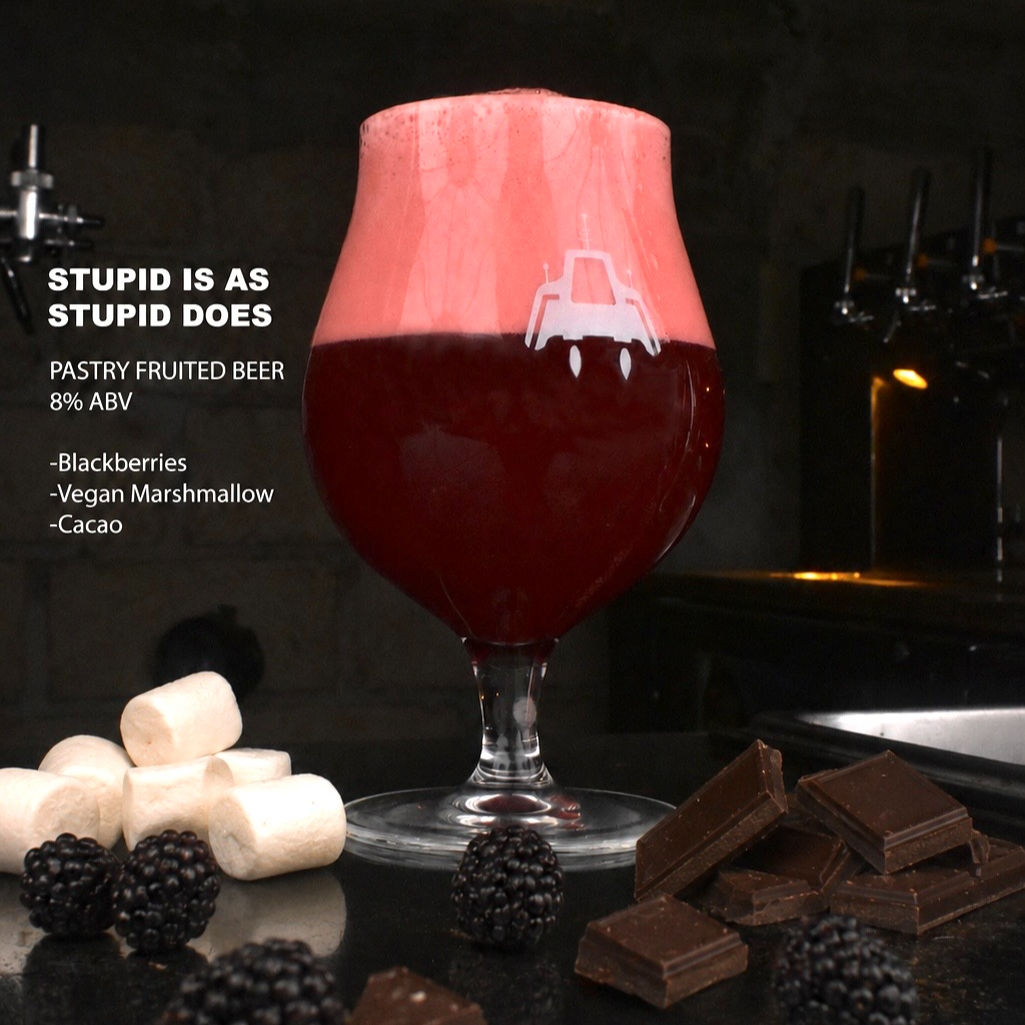 STUPID IS AS STUPID DOES (R) SIN ETIQUETA