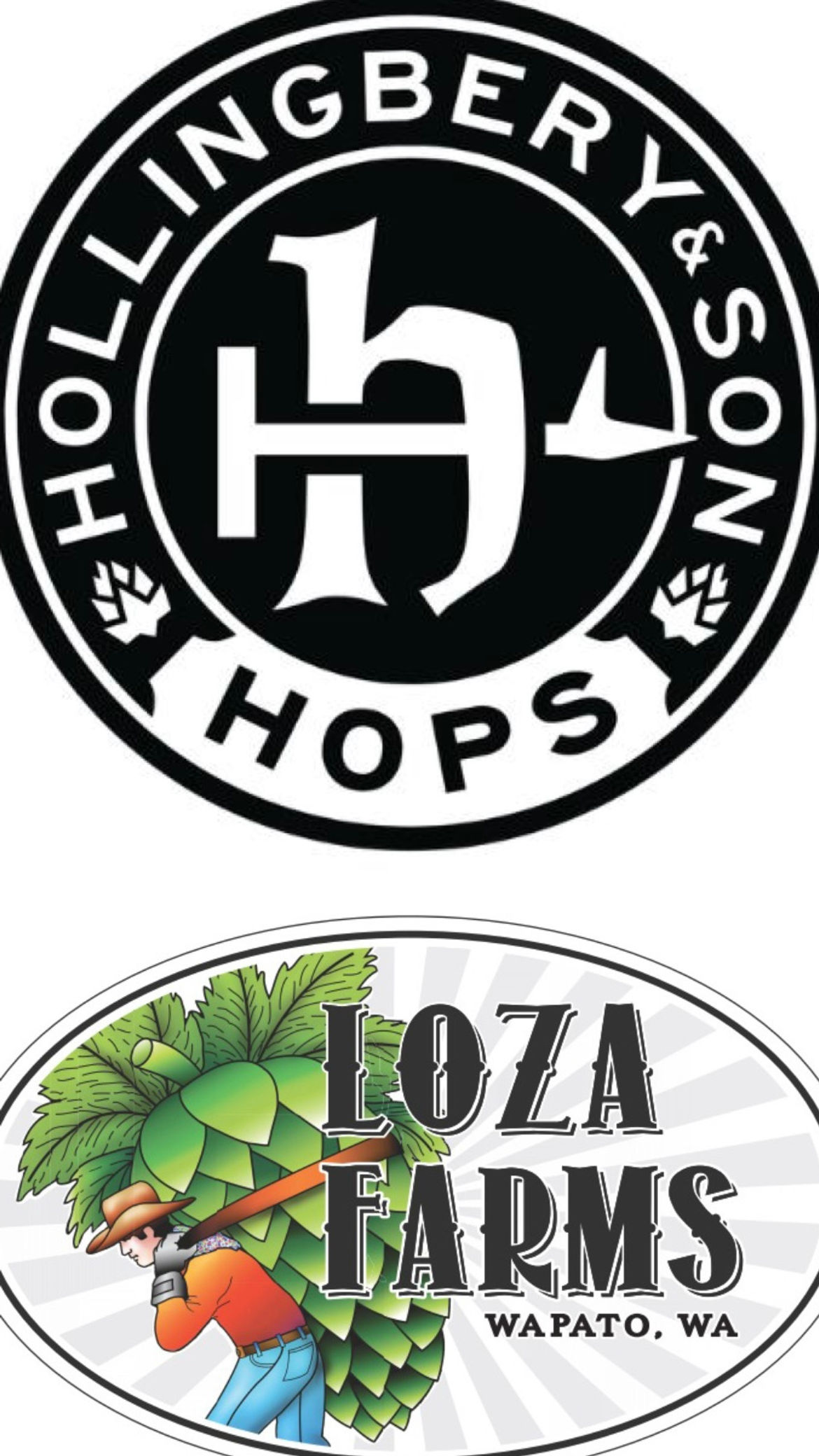 JUNIOR'S COMET -  WEST COAST RYE IPA