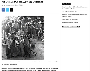 The Bridge review screenshot.png