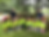 kinder集合写真.png
