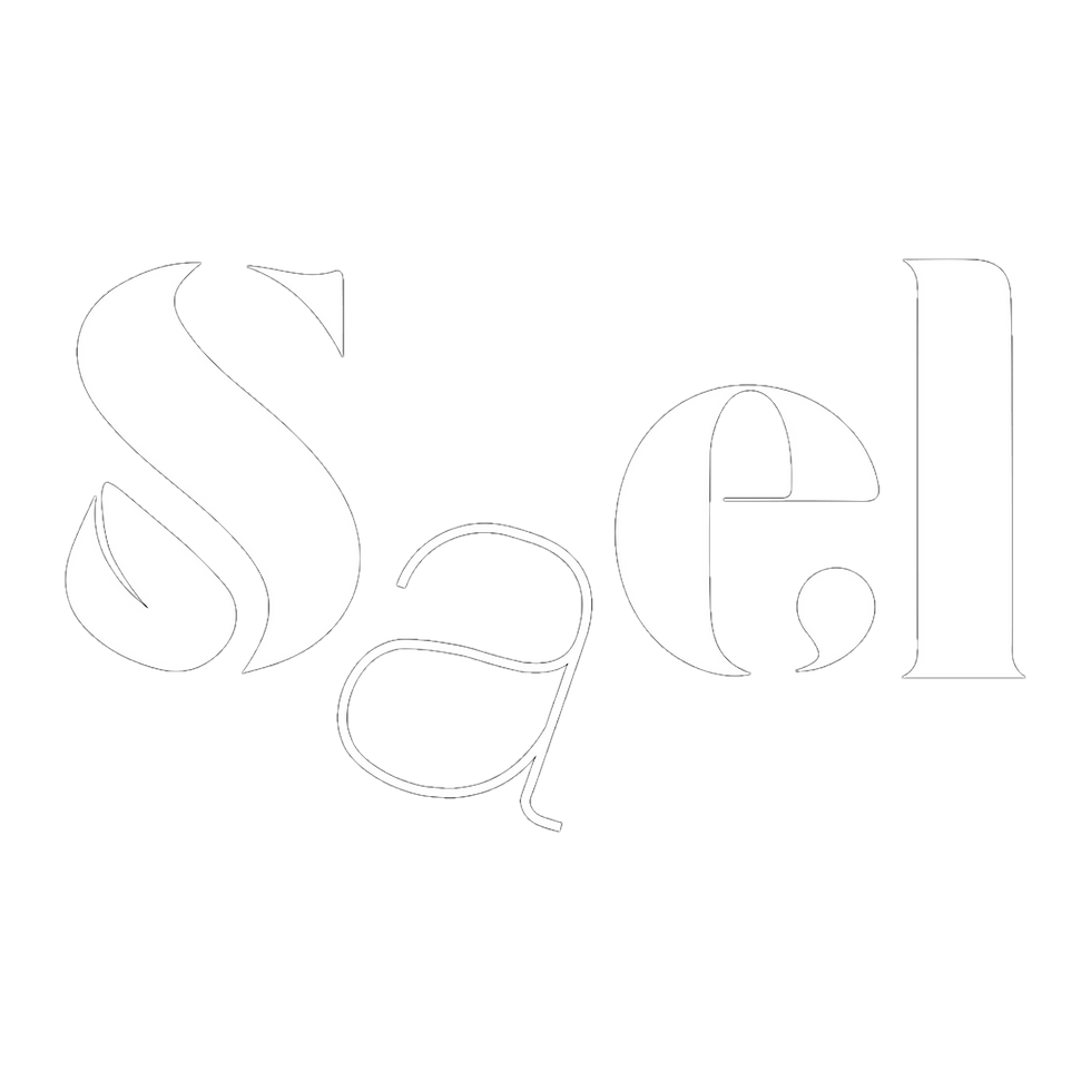 Sael-Icon-logo_edited.png