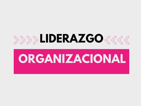 LIDERAZGO ORGANIZACIONAL CON PAOLA SÁENZ