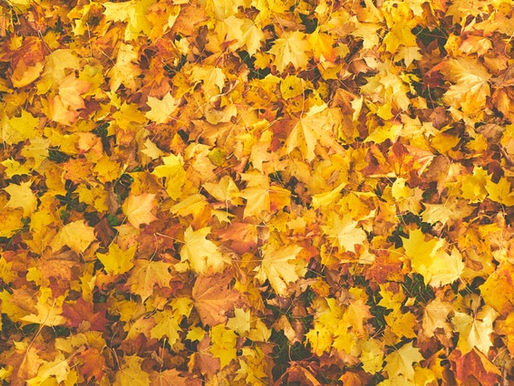 Taking Stock and Risk-Proofing Yourself