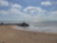 IMG_1171_desat copy.jpg