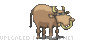 Picture1.gif