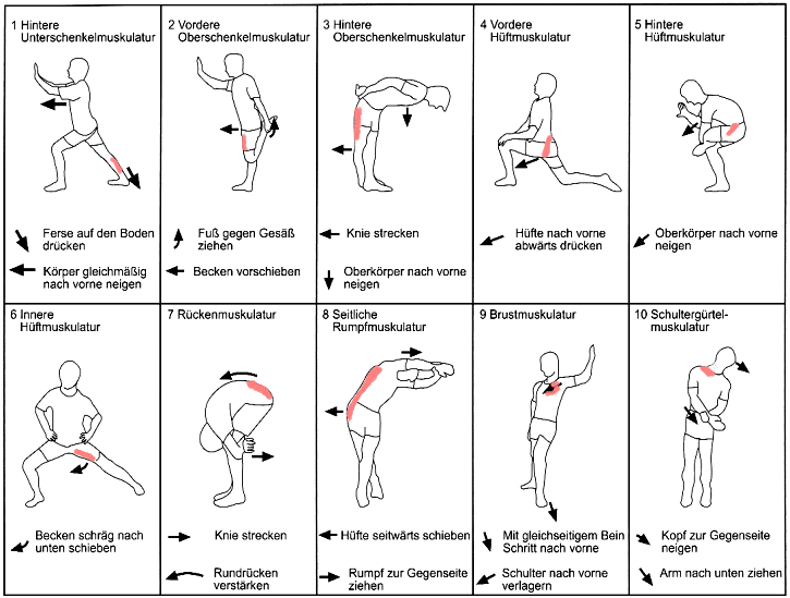 stretchbasis10.gif