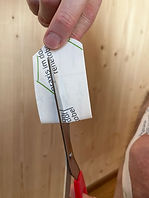 IMG_0868.jpg