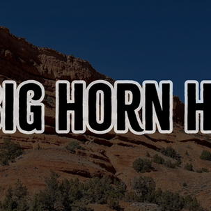 Why an Online Presence Matters Wyoming