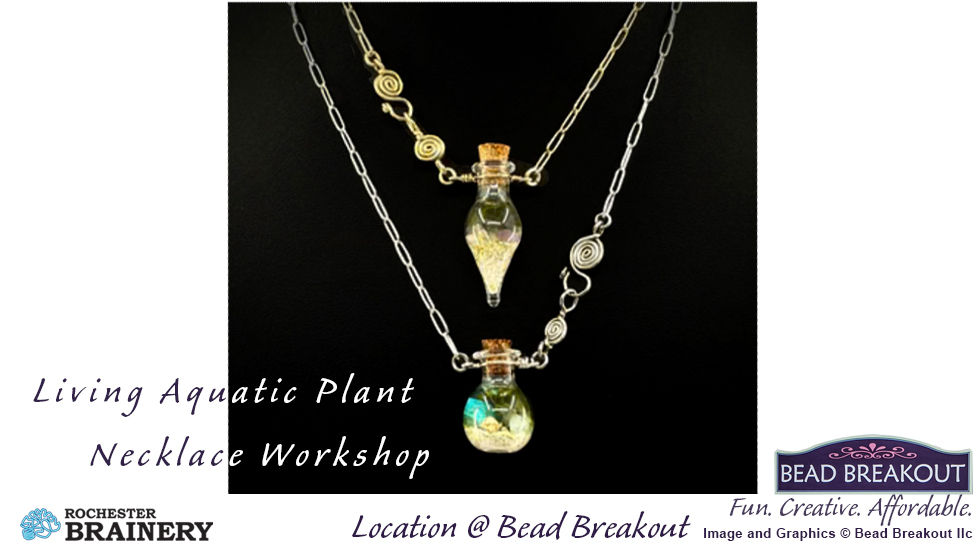 Living Aquatic Plant Necklace Workshop Saturday, April 11th