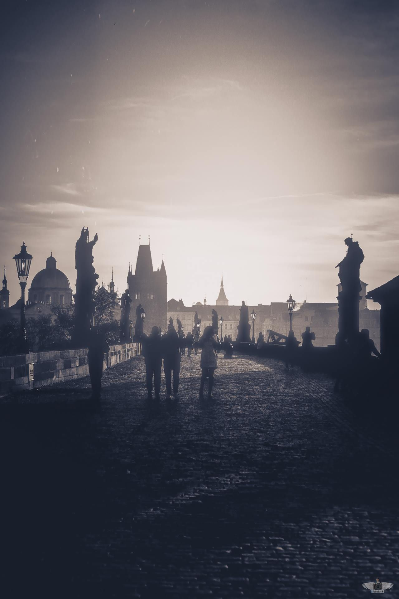 🌉 ℭ𝔥𝔞𝔯𝔩𝔢𝔰 𝔅𝔯𝔦𝔡𝔤𝔢 🌉