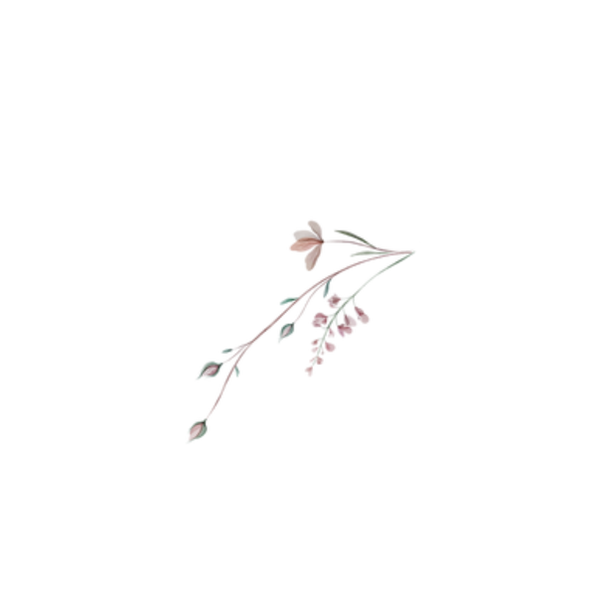 Untitled (Circle Sticker) (1)_edited.png