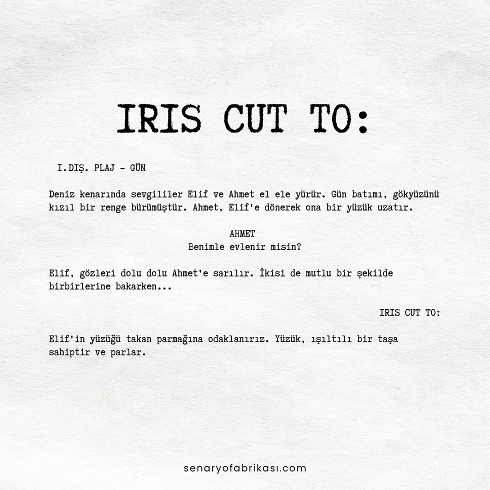 IRIS CUT TO', sahnelerin görsel olarak bir halka şeklinde açılması veya kapanmasıyla karakterlerin yeni bir duruma geçişini gösteren bir tekniktir. Bu yazıda, 'IRIS CUT TO' tekniğinin ne olduğunu ve filmlerdeki kullanımını öğrenin.