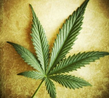 Arrestato un 28enne per marijuana