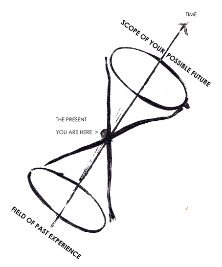 diagrammes (dragged).png