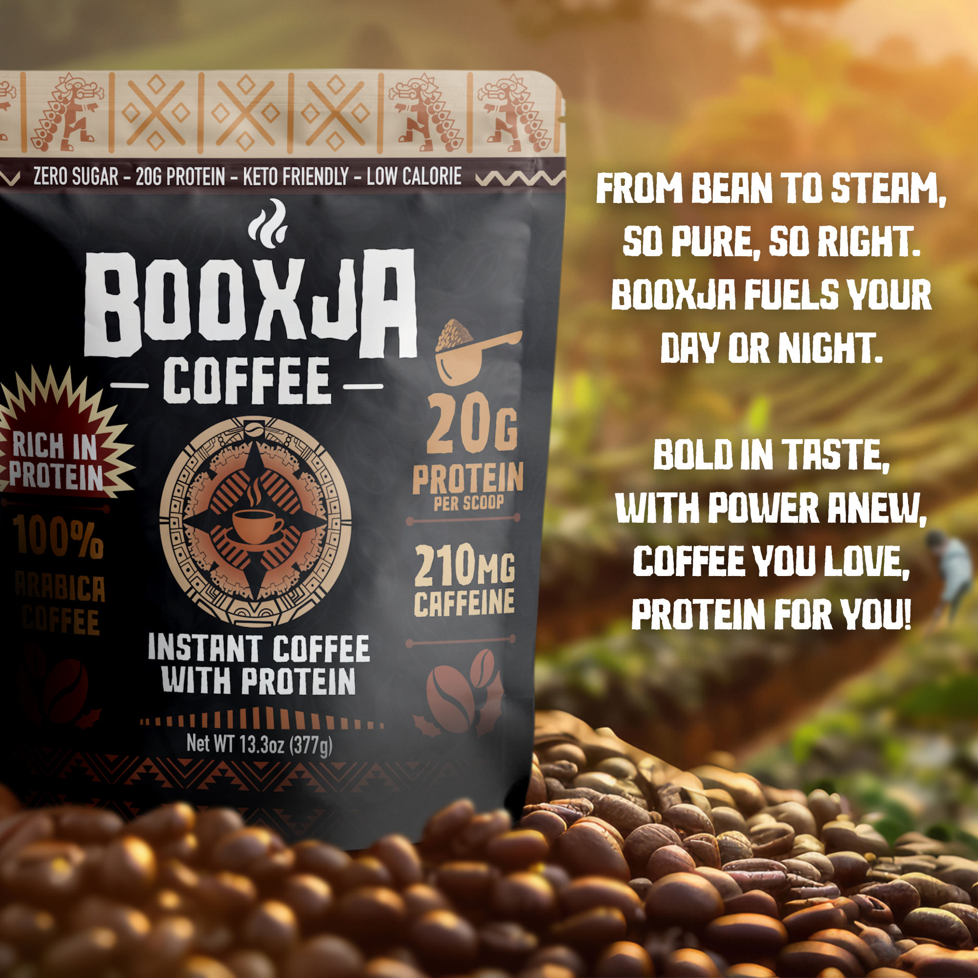 Instant arabica coffee with whey protein 13.3 oz (377g)