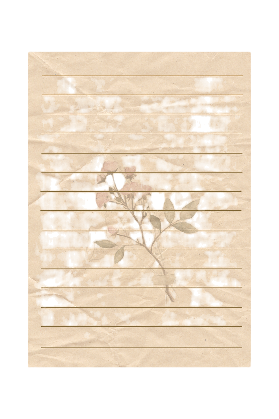 Untitled design (6)_edited.png