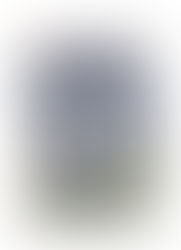 Illustration of the historic building, Bayard's Cove Inn, Dartmouth with a grey slate roof, striped black-and-white facade, green doors, and windows