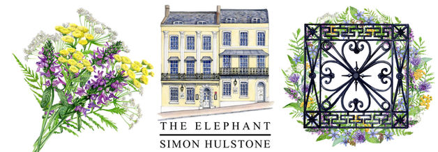 Watercolour illustrations used for marketing of The Elephant Restaurant, Torquay