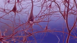 Alzheimer's_disease-neuron_death
