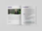 Sustainability Report